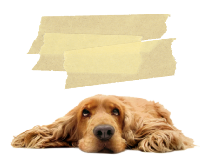 雑な仕上げにお困りですか？